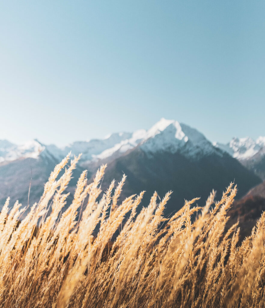 Blé et montagne enneigée, nature
Un coaching pour se sentir serein